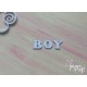 BOY D-032 (63*21 мм)