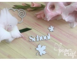School SC-013 School SC-013