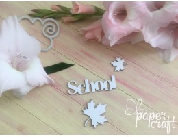 School SC-013