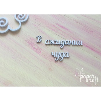  В очікуванні дива N-059