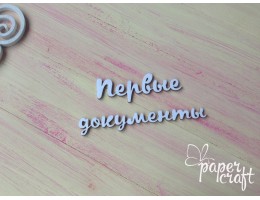 Первые документы N-101