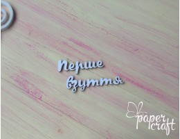 Перше взуття N-096