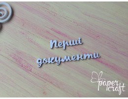 Перші документи N-102