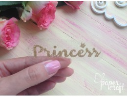 Princess TP-010