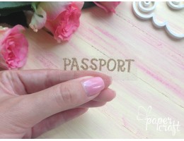 PASSPORT TP-011