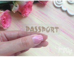 PASSPORT 2 TP-012