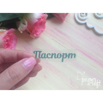 Паспорт  TPI-006