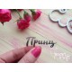 Принц TPSM-008